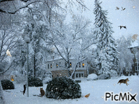 Winter - Animovaný GIF zadarmo