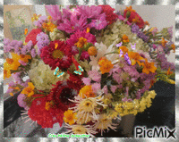HD fleurs papillons - GIF animado grátis