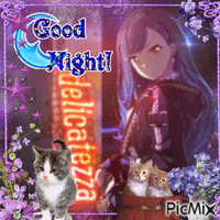 An Good Night 😴 animált GIF