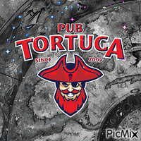 #TortugaPubBaku - Бесплатный анимированный гифка