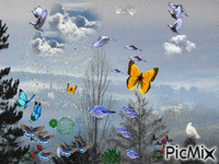 ciel d'orage & sa vallée embrumée - 無料のアニメーション GIF
