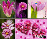 Flores - GIF animé gratuit