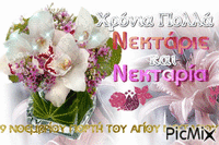 Happy name day Nektarios & Nektaria - Nemokamas animacinis gif