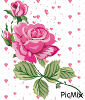 Pink Rose - GIF animado gratis