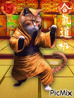 Aikido Cat - GIF animé gratuit