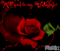 Will you be my Valentine?💖 animovaný GIF