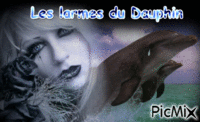 Les Larmes du Dauphin - 無料のアニメーション GIF