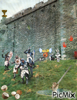 The knights in front of the castle contest
