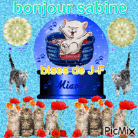 bonjour  sab animovaný GIF