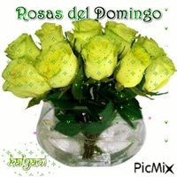 Rosas del Domingo9 - GIF animado grátis