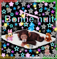 **** BONNE NUIT...!!!! **** Animated GIF
