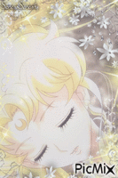 (✿◠‿◠) Sailor Moon Crystal / Princess Serenity (◡‿◡✿) SerenaSerenity