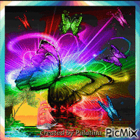 PAPILLONS MULTICOLORS - Free animated GIF