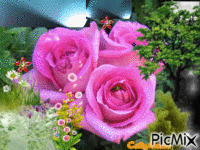Rosas анимированный гифка