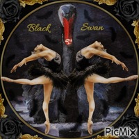 Black Swan-RM анимированный гифка