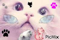 le monde des chat - GIF animado gratis