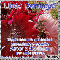 Lindo Domingo! animovaný GIF