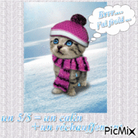 pauvre petit chat :( ... mettez des 5/5 SVP ... un 5/5 = un calin + un réchauffement - GIF animate gratis