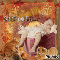 Good Night (....and sweet dreams)