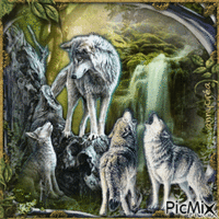 Ma passion pour les loups - Δωρεάν κινούμενο GIF