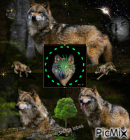 els sr de los lobos Animated GIF