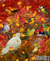 FALL COLORS FOR THE BACKGROUND,LEAVES OF YELLOW AND ,ORANGE, BIG WHITE DOVES. A YELLOW AND BLACK BIRD, A HUMMING BIRD,, 2 PARROTS, 2 FLYING, AND A PURPLE.
