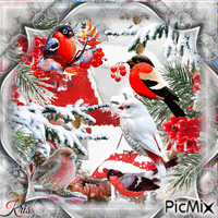 Birds in winter - Gratis geanimeerde GIF