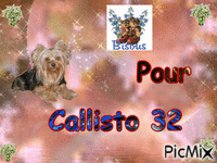 pour Callisto 32 - Nemokamas animacinis gif