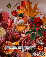 Fall beauty :) geanimeerde GIF