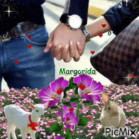 margarida Animated GIF
