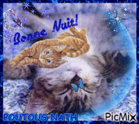 CHAT NUIT animowany gif