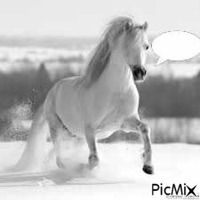 le cheval - Ilmainen animoitu GIF