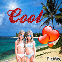 Cool twins 动画 GIF
