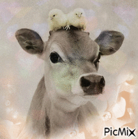 vache et poussins animovaný GIF
