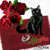 le chat noir et la bague perdue animēts GIF