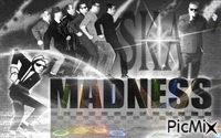 madness - GIF animado gratis