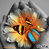 Flor na Alma - Free animated GIF
