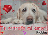 Dog in love - Free animated GIF