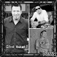 Hommage â Steve Harwell - darmowe png