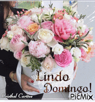 Lindo Domingo! анимированный гифка