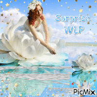 Surprise WLP - GIF animé gratuit