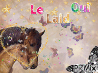 Laid - Darmowy animowany GIF
