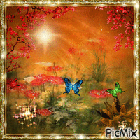 Poppies & Papillon - GIF animé gratuit