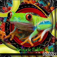 Sporty Frog... GIF animado