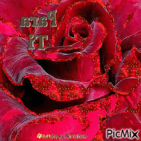 rose flower - Gratis animerad GIF