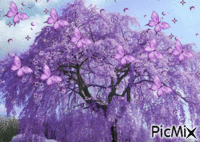 Farfalle - Bezmaksas animēts GIF
