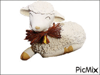 sheep - Gratis animeret GIF