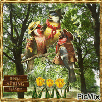 Frühling printemps spring GIF animata