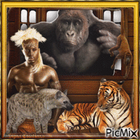 Warrior with monkey Tiger and Hyena ' - Free animated GIF