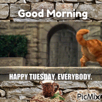 Good Morning --Tuesday geanimeerde GIF